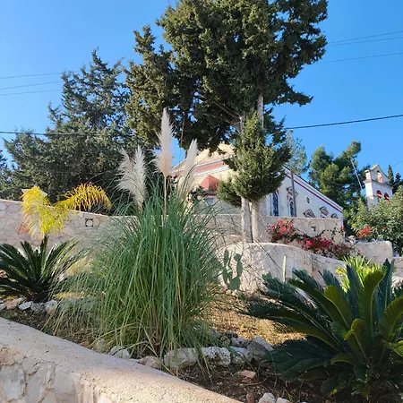 Sasa Fiskardo