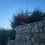 Dom wakacyjny Sasa