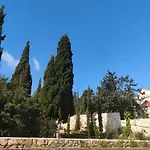 Sasa *