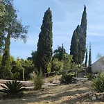 Sasa Φισκάρδο