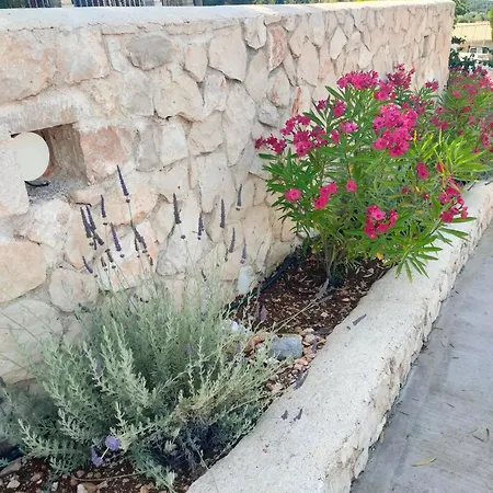 Sasa Φισκάρδο