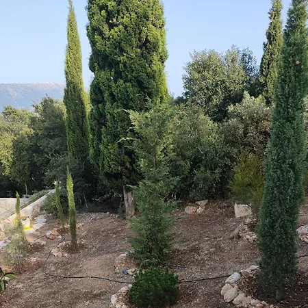 Sasa Σπίτι διακοπών