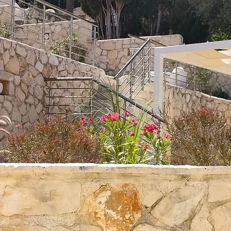 Sasa * Φισκάρδο